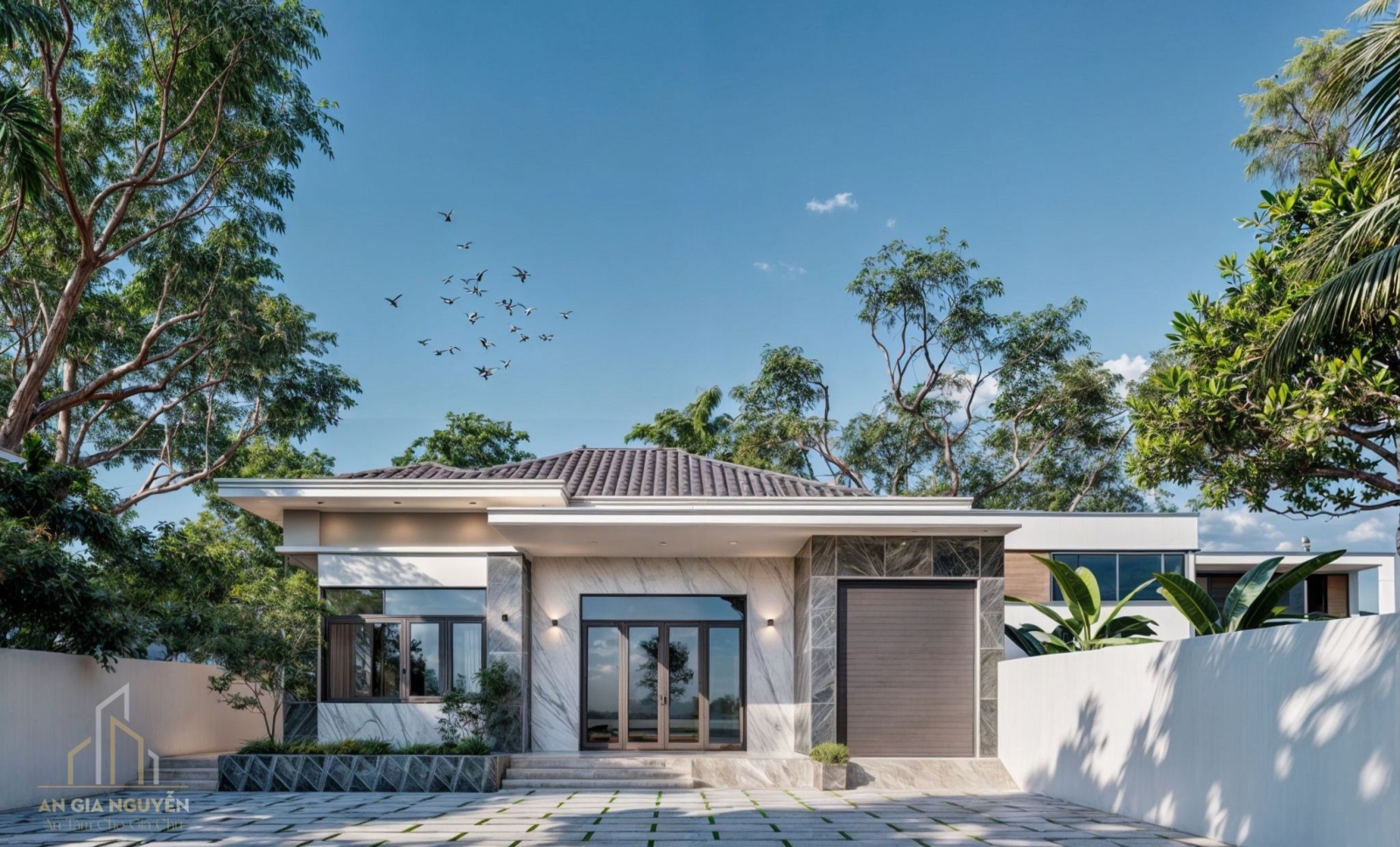 Giới thiệu An Gia Nguyễn